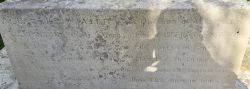 5WW1 Panel2